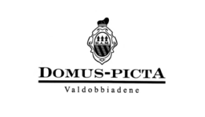 Vinárstvo Domus Picta