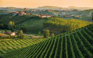 Piemont – srdce talianskeho vína