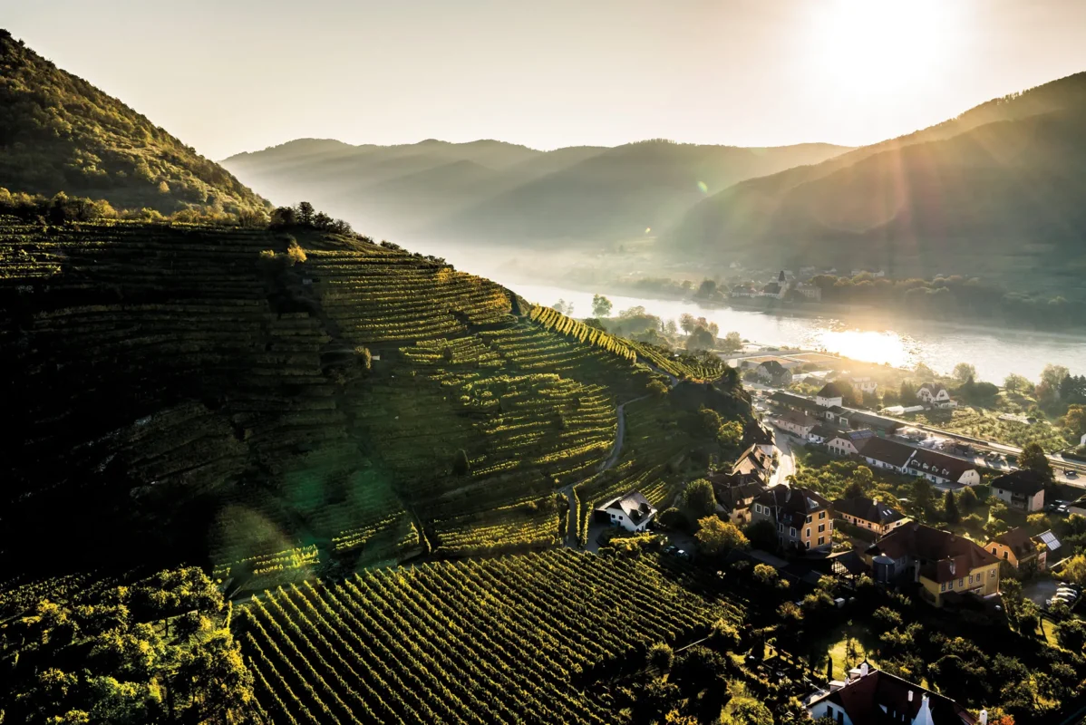 Wachau – Rakúska vinárska legenda