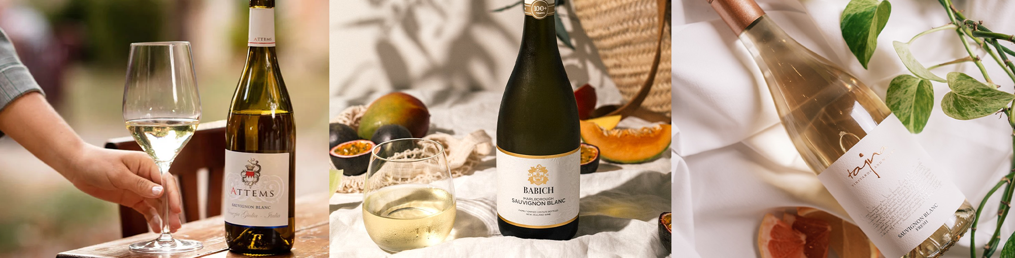 Medzinárodný deň Sauvignon Blanc